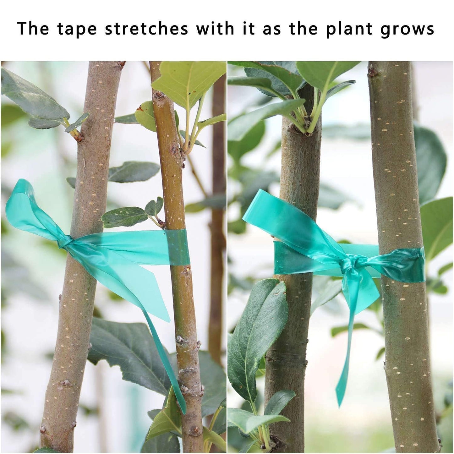 Easytle 2 Pack x 150 ft Stretch Tie Tape Roll, 1/2" Garden Tie Tape, Thick Sturdy Plant Ribbon Garden Green Vinyl Stake Gardening Tools for Indoor Outdoor Patio Plant Use